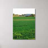 Alfalfa Field Canvas Afdruk (Voorkant)
