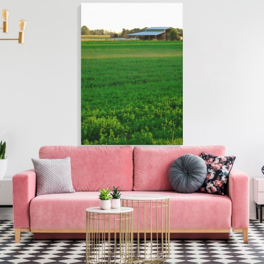 Alfalfa Field Canvas Afdruk (Insitu (Woonkamer))