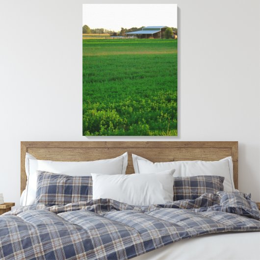 Alfalfa Field Canvas Afdruk (Insitu (Slaapkamer))