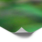 Alfalfa Flowers Poster (Hoek)