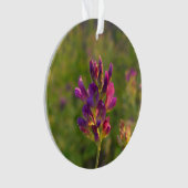 Alfalfa-ventilator Ornament (voorkant)