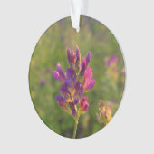 Alfalfa-ventilator Ornament (voorkant)