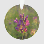 Alfalfa-ventilator Ornament (voorkant)