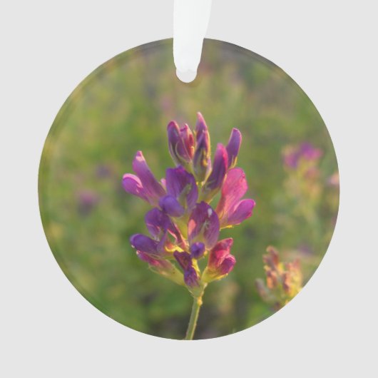 Alfalfa-ventilator Ornament (voorkant)