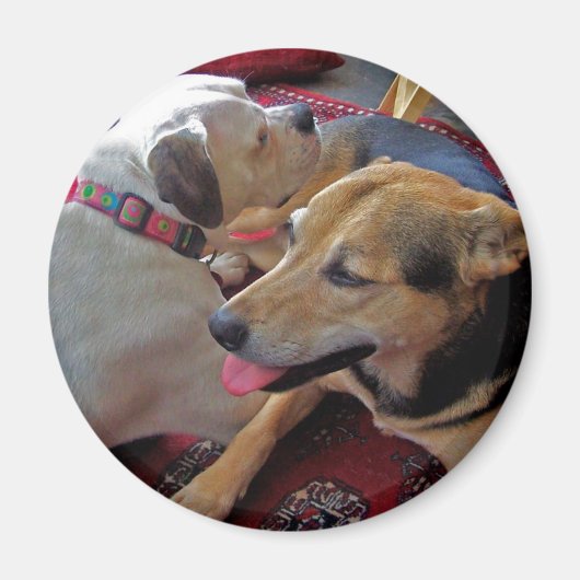 Alfie & Holly: Beste Buds Magneet (Voorkant)