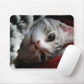 Alfie Muismat (Met muis)
