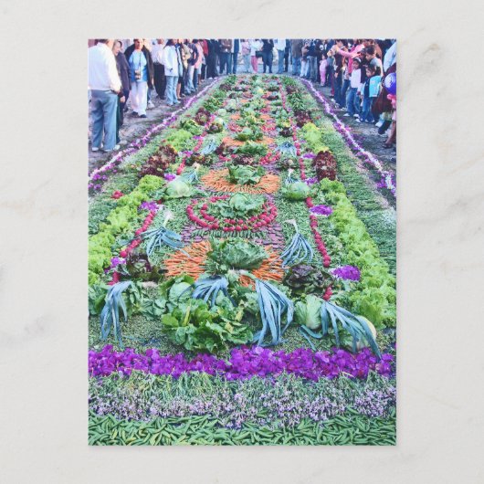 alfombra 16 briefkaart (Voorkant)