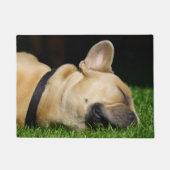 Alfombra de perro para hogar deurmat (Voorkant)