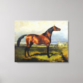  Alfred de Dreux Horses in Freedom Canvas Afdruk (Voorkant)