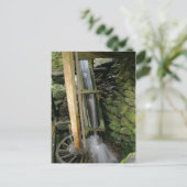 Alfred Reagan's Mill Briefkaart (Staand voorkant)