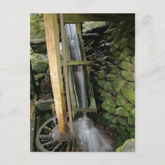 Alfred Reagan's Mill Briefkaart (Voorkant)