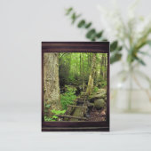 Alfred Reagan's Mill Briefkaart (Staand voorkant)