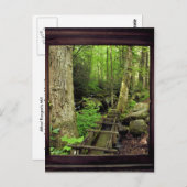 Alfred Reagan's Mill Briefkaart (Voorkant / Achterkant)