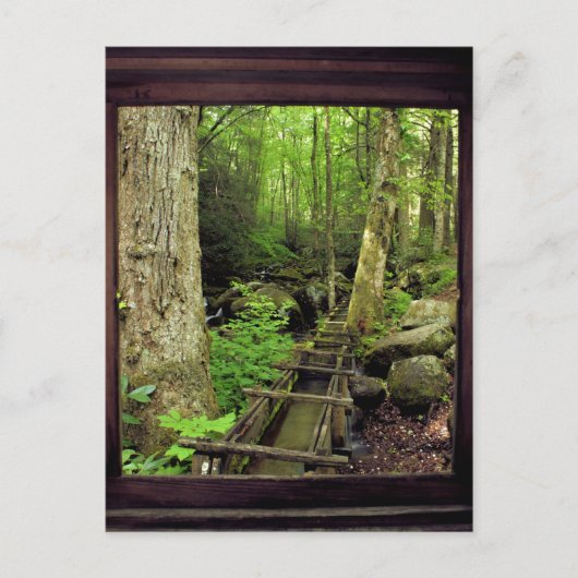 Alfred Reagan's Mill Briefkaart (Voorkant)