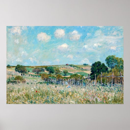 Alfred Sisley - De weide Poster (Voorkant)