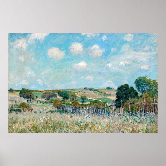 Alfred Sisley - De Weide Poster (Voorkant)