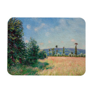 Alfred Sisley - De weiden van Sahurs in de ochtend Magneet