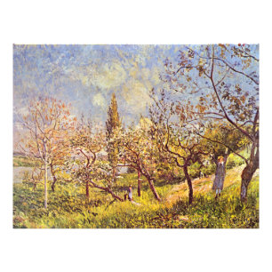 Alfred Sisley Orchard in het voorjaar Foto Afdruk