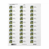 Alfred Sisley - Rust langs de Stroom Etiket (Full Sheet)