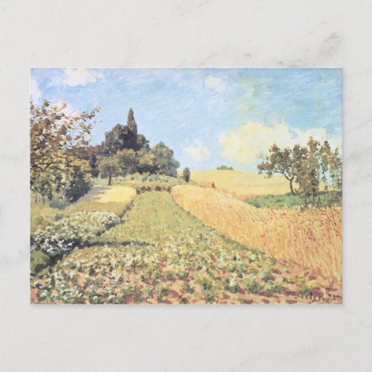 Alfred Sisley | Tarweveld Briefkaart (Voorkant)