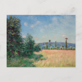 Alfred Sisley - Weiden in Sahurs in de ochtendzon Briefkaart (Voorkant)