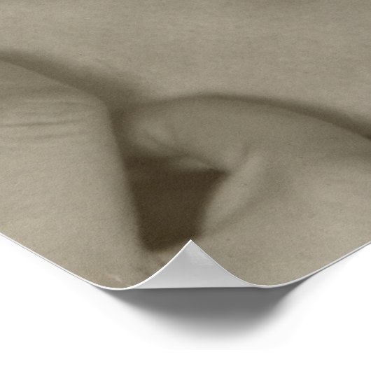 Alfred Stieglitz Georgia O’Keeffe Portret Poster (Hoek)