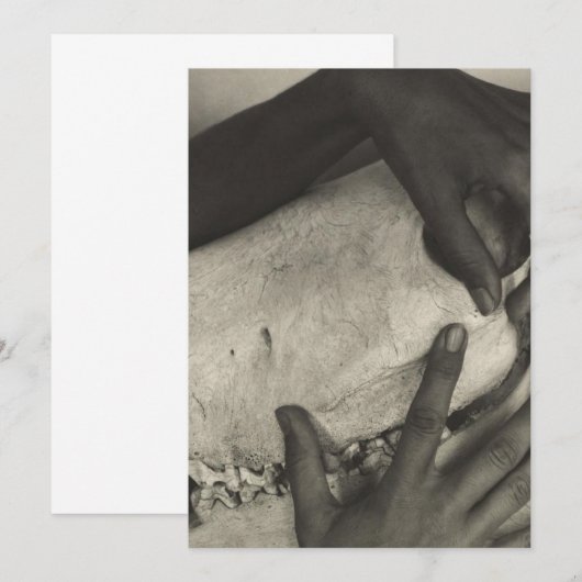 Alfred Stieglitz - Georgia O'Keeffe - Hands en Ho Kaart (Voorkant / Achterkant)