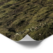 Alftavatn Campsite Poster (Hoek)