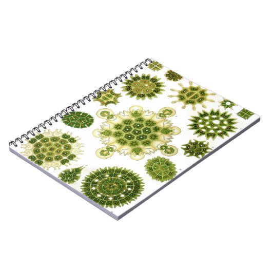 Algae-laptop Notitieboek (Linkerzijde)