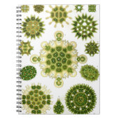 Algae-laptop Notitieboek (Voorkant)