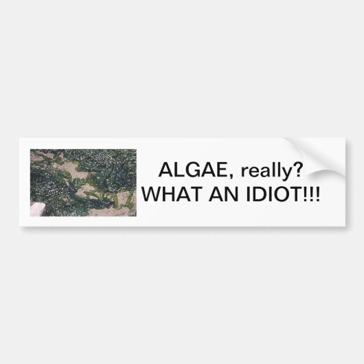 Algae onze redder bumpersticker (Voorkant)
