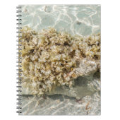 Algas Spiral Photo Notebook Notitieboek (Voorkant)