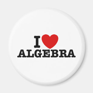 Algebra Magneet