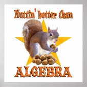Algebra Squirrel Poster (Voorkant)