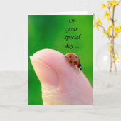 Algemeen Gelukkige Verjaardag lieveheersbeestje We Kaart (Gele Bloem)