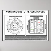 Algemeen quide op de genetische code poster (Voorkant)