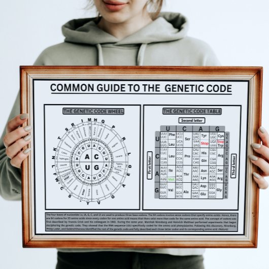 Algemeen quide op de genetische code poster