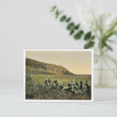Algemeen uitzicht, berg Carmel, Heilig Land (d.w.z Briefkaart (Staand voorkant)