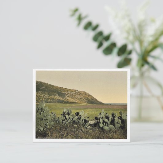 Algemeen uitzicht, berg Carmel, Heilig Land (d.w.z Briefkaart (Staand voorkant)