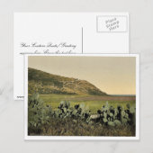 Algemeen uitzicht, berg Carmel, Heilig Land (d.w.z Briefkaart (Voorkant / Achterkant)