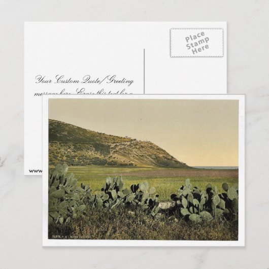 Algemeen uitzicht, berg Carmel, Heilig Land (d.w.z Briefkaart (Voorkant / Achterkant)