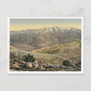 Algemeen uitzicht, Mount Hermon, Heilig Land (d.w. Briefkaart