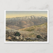Algemeen uitzicht, Mount Hermon, Heilig Land (d.w. Briefkaart (Voorkant)