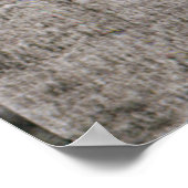 Algemeen uitzicht van het John Panel Poster (Hoek)