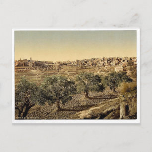 Algemeen uitzicht van het welzijn van David, Bethl Briefkaart