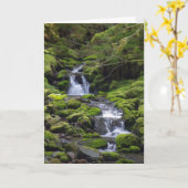 Algemene de Verjaardag van de papa Kaart (Gele Bloem)