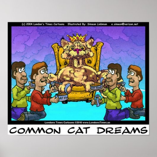 Algemene katten dromen grappige verzamelaar kunstp poster (Voorkant)