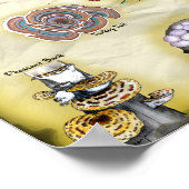 Algemene namen Poster 18x12 Paddenstoelen (Hoek)