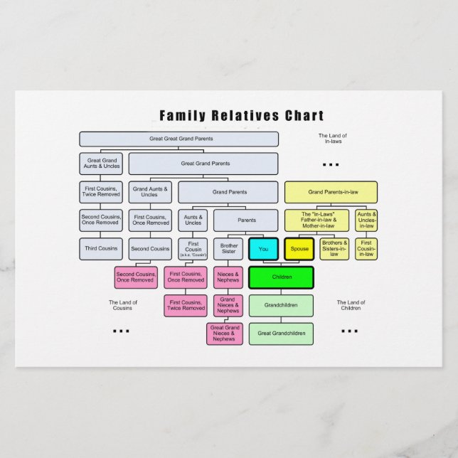 Algemene organisatie van de familiestructuur (Voorkant)