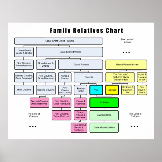 Algemene organisatie van de familiestructuur poster (Voorkant)